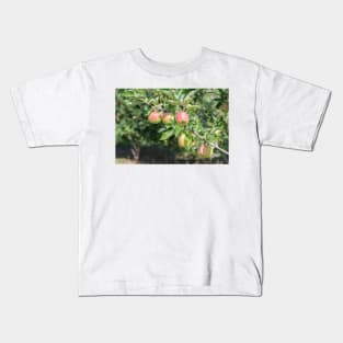 Okanagan Valley Apples and Summer Sunshine Kids T-Shirt